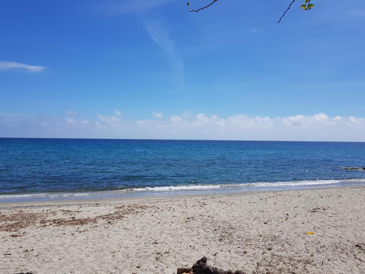 Maisons T2 Avec Jardins Privatifs - 10Mn De La Plage Et 5Mn Du Village - Casa Di I Trinelli Vescovato Luaran gambar